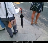 1468 зверям по-пути 2.jpg