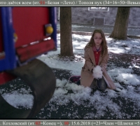 1497 Тополя пух.jpg