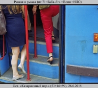 1500 Рыжая и рыжая.jpg