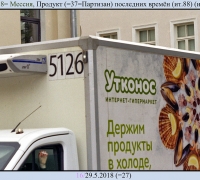 1538 Утконос.jpg