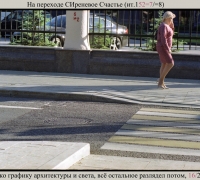 1565 На переходе сир счастье.jpg