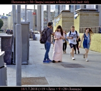 1595  Пятачила.jpg