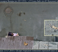 1607 Подарок Венеры плюс.jpg