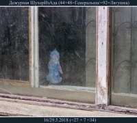 1644 Дежурная Шухеризада.jpg