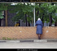 1645 ласточка 1.jpg