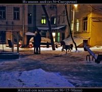 1646 б Жёлты сон ДУБЛЬ.jpg