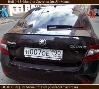 1648 Ласточка и Ной.jpg