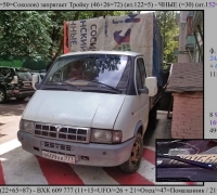 1719 а  Карета Сосинского.jpg