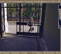 1764 Кудесница Анюта.jpg