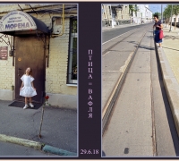 1765 Птица Вафля.jpg