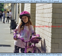 1843 Пожелание Единорога.jpg