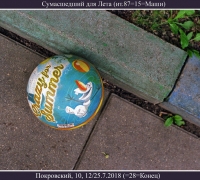 2006 Сумасшедший 1.jpg