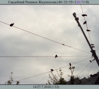 2020 Музыкальный.jpg