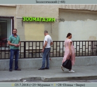 2052 Зоологический.jpg