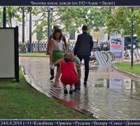 2240 После дождя.jpg