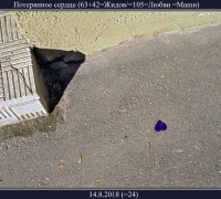 2254 Пот серд 1.jpg