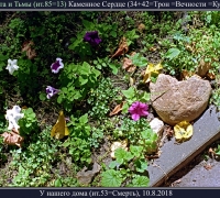 2300  Камень 1.jpg