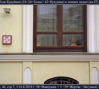 2310 Теля К.jpg