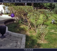 2332 Патрик.jpg