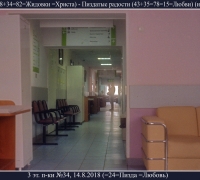 2337 Розовый тоннель.jpg