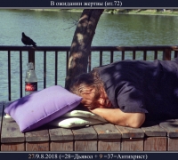 2359 В ожидании жертвы 1.jpg