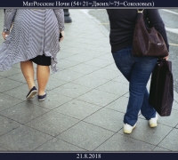 2463 Ночь Матроскина.jpg