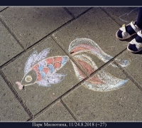 2493 Рыбка 1.jpg