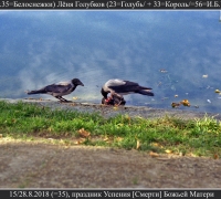 2519 Лёня Голубков.jpg