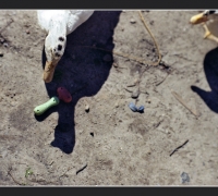 2542 А мог бы стать Богом 3.jpg